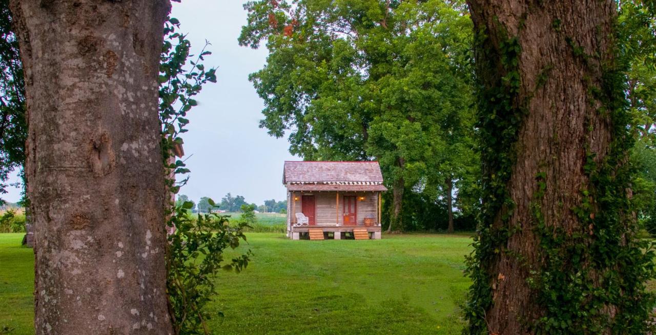 Belmont Plantation, Est 1857 Bed & Breakfast Greenville Exterior foto